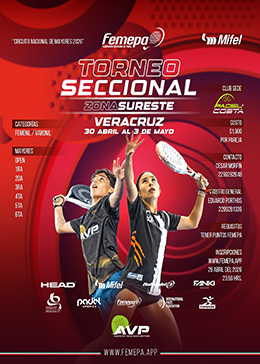 SECCIONAL SURESTE MAYOR 2026